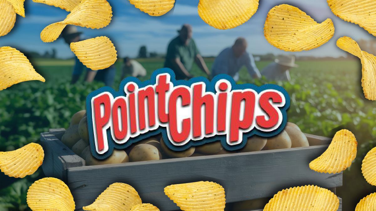 Projeto Point Chips — Social Media