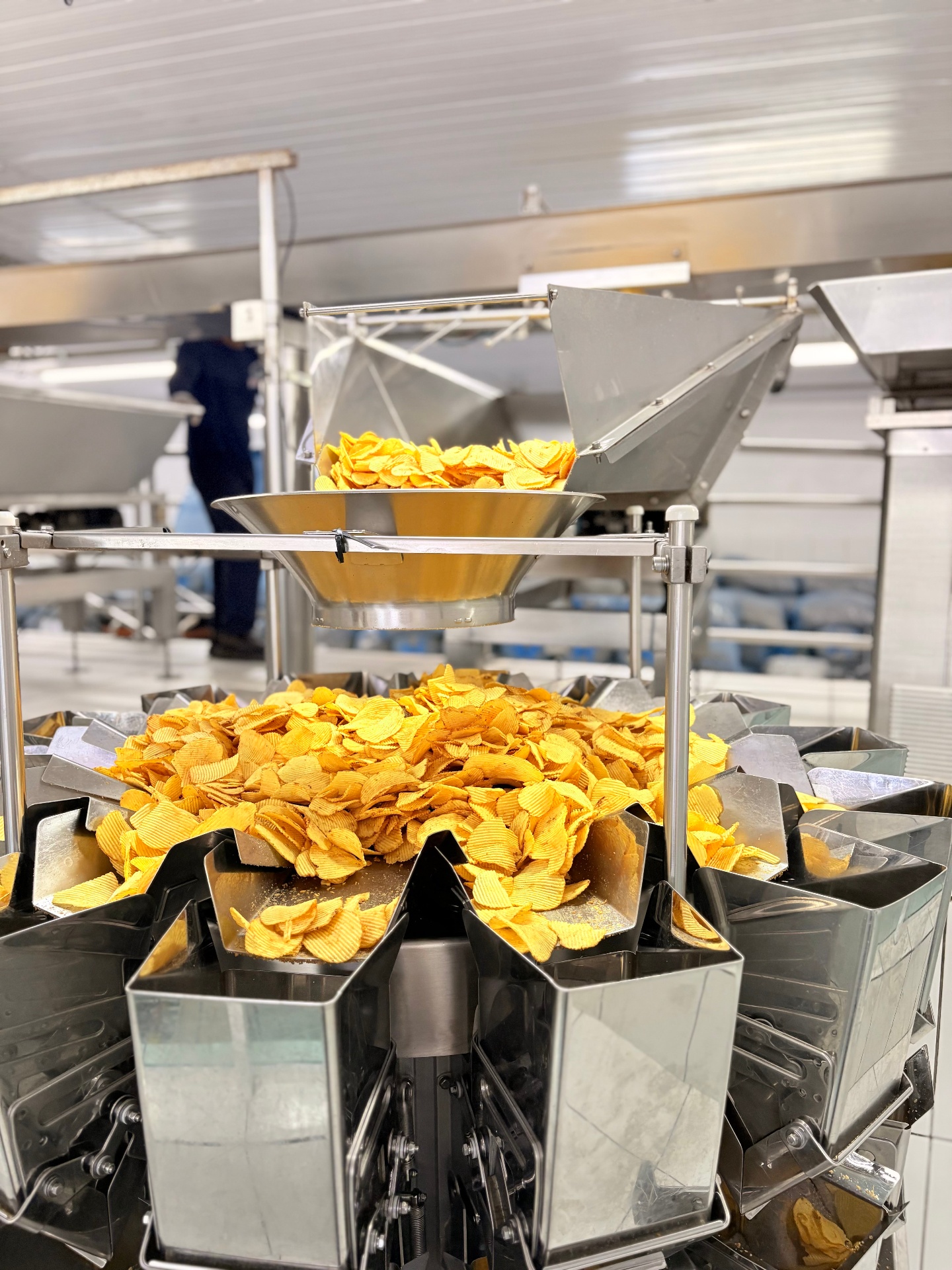 Point Chips — imagem 6